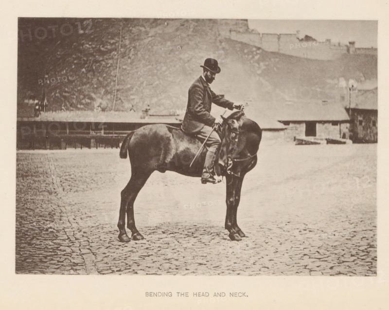 Man on a horse turning the horse's head using the reins, Bending the head and neck, page, photomechanical print, photographer: Alexander Nicol (possibly), Edinburgh (possibly), cliché maker: Römmler & Jonas, Dresden, printer (person): Römmler & Jonas, c. 1879 - in or before 1889, Alexander Nicol, Römmler & Jonas, photographer, Edinburgh, paper, collotype, photoprint, height 97 mm x width 137 mm, horse, riding a horse, ass, or mule, rider, horseman, head-gear: bowler hat, A sepia-toned photograph of a man seated on a dark horse on a cobbled surface; the man wears a hat, jacket, and trousers and holds the reins and a stick while looking downward; the horse stands with its head slightly lowered and is fitted with a bridle and saddle; in the background there is a low wall or building with a sloped roof and a distant hillside rising behind it.