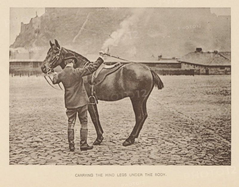 Carrying the hind legs under the body, Man next to a horse, page, photomechanical print, photographer: Alexander Nicol (possibly), Edinburgh (possibly), cliché maker: Römmler & Jonas, Dresden, c. 1879 - in or before 1889, paper, collotype, photoprint, height 98 mm x width 137 mm, horse, riding a horse, ass, or mule, rider, horseman, head-gear: bowler hat, A person wearing a hat, jacket, knee-length pants, and tall boots stands on a cobbled surface facing a horse, holding the horse's reins and a long stick or crop; the horse is saddled and shown in profile with its tail visible, and a distant low building and a rocky hillside form the background under a cloudy sky.