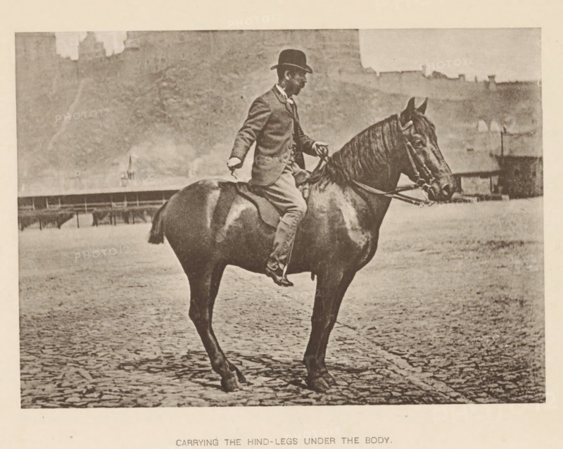 Carrying the hind-legs under the body, Man on a horse, page, photomechanical print, photographer: Alexander Nicol (possibly), Edinburgh (possibly), cliché maker: Römmler & Jonas, Dresden, c. 1879 - in or before 1889, paper, collotype, photoprint, height 98 mm x width 137 mm, horse, riding a horse, ass, or mule, rider, horseman, head-gear: bowler hat, A sepia-toned photograph showing a man in a suit and bowler hat seated on a dark horse on a cobblestone surface; the man holds the reins with one hand and his other hand is relaxed at his side, his posture upright; the horse is shown in profile with visible bridle and reins, a short tail, and one hind leg positioned beneath its body; a low railing and indistinct buildings or walls form the background under a pale sky.