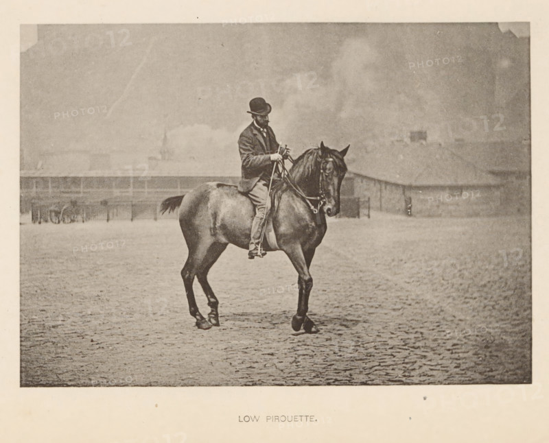 Low pirouette, Man on a horse in dressage, page, photomechanical print, cliché maker: Römmler & Jonas, Dresden, c. 1879 - in or before 1889, photographer, paper, collotype, photoprint, height 97 mm x width 137 mm, horse, riding a horse, ass, or mule, rider, horseman, head-gear: bowler hat, A sepia photograph of a man wearing a dark suit and bowler hat seated on a dark horse on a cobbled surface, the man holding reins and looking downward, the horse standing with one front leg lifted, a low fence and indistinct buildings visible in the background under a hazy sky.