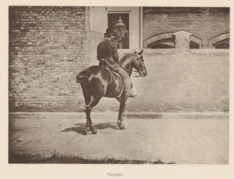 Man on a horse in a travers, Travers, page, photomechanical print, photographer: Alexander Nicol (possibly), Edinburgh (possibly), cliché maker: Römmler & Jonas, Dresden, c. 1879 - in or before 1889, paper, collotype, photoprint, height 98 mm x width 138 mm, horse, riding a horse, ass, or mule, rider, horseman, head-gear: bowler hat, A person wearing a dark coat and a hat sits astride a dark horse, viewed from behind and slightly to the side, the horse showing a glossy coat and a visible bridle; they are positioned on a paved surface in front of a wall that has a rough lower portion and a brick upper portion with an arched brick feature and a window partially visible above the rider, and a lamp post stands near the window.