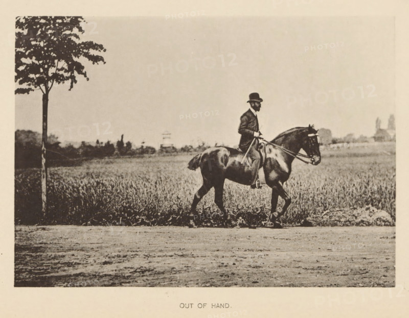 Out of hand, Man on a horse in front of a meadow, page, photomechanical print, cliché maker: Römmler & Jonas, Dresden, c. 1879 - in or before 1889, photographer, paper, collotype, photoprint, height 97 mm x width 136 mm, horse, riding a horse, ass, or mule, rider, horseman, head-gear: bowler hat, A sepia-toned photograph showing a man in a suit and hat riding a dark horse along a dirt path beside a field, the rider holding the reins and a riding crop, the horse moving with one front leg raised, a lone tree standing at the field edge on the left, low vegetation and distant trees along the horizon, and an open sky above.
