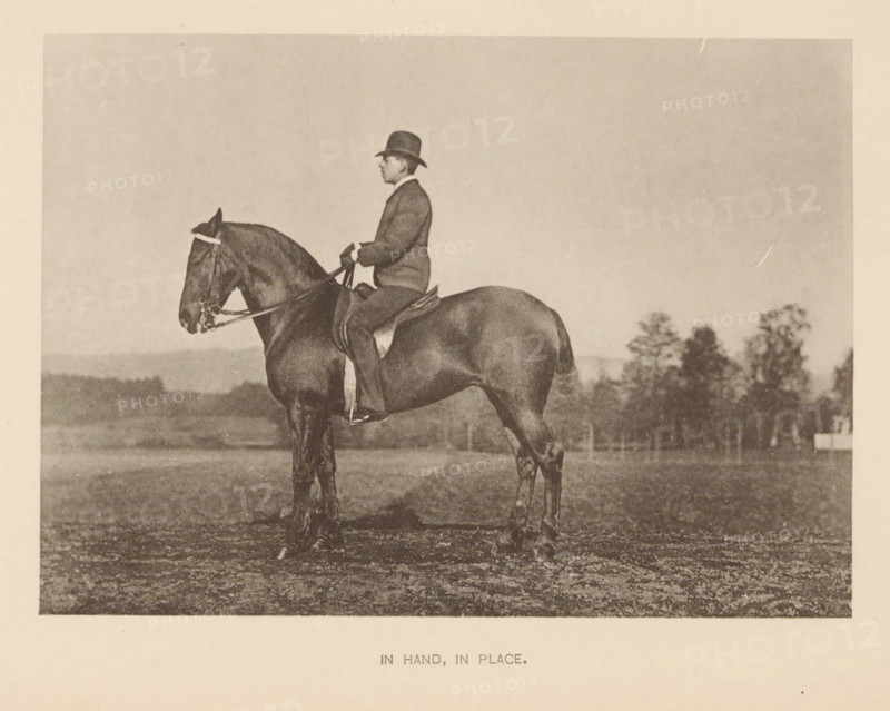 In hand, in place, Man on a horse, page, photomechanical print, cliché maker: Römmler & Jonas, Dresden, c. 1879 - in or before 1889, photographer, paper, collotype, photoprint, height 97 mm x width 136 mm, horse, riding a horse, ass, or mule, rider, horseman, head-gear: bowler hat, A sepia-toned photograph of a person seated upright on a horse in an open field, wearing a dark jacket and a hat, holding the reins with both hands; the horse stands with a bridle and saddle visible, trees and a distant horizon appear in the background, and the image is framed by a light border.