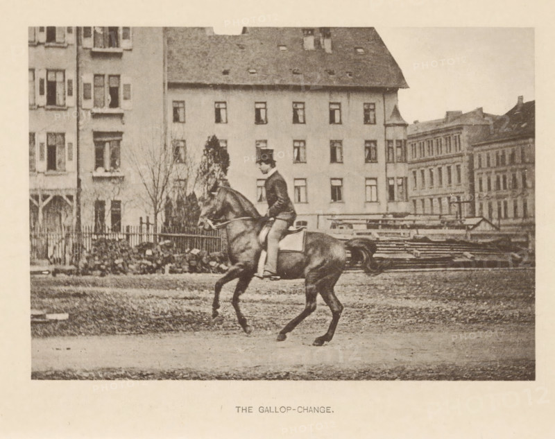 Man on a horse at a gallop, The gallop-change, page, photomechanical print, photographer: Seligmüller, Stuttgart (possibly), cliché maker: Römmler & Jonas, Dresden, c. 1879 - in or before 1889, Baden-Württemberg, paper, collotype, photoprint, height 96 mm x width 137 mm, riding a horse, ass, or mule, rider, horseman, galloping horse, head-gear: bowler hat, A sepia-toned photograph shows a rider in formal attire seated on a horse in mid-stride on a dirt or gravel surface, the rider wearing a dark jacket and a tall hat and holding the reins while the horse moves with one front leg raised and hind legs extended; behind them is a row of multi-story buildings with many windows and a pitched roof, a fence and some leafless trees and shrubs near the buildings, and stacks of long boards or beams visible beyond the fence.