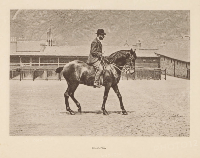 Backing, Man on a horse walking backwards, page, photomechanical print, photographer: Alexander Nicol (possibly), Edinburgh (possibly), cliché maker: Römmler & Jonas, Dresden, c. 1879 - in or before 1889, paper, collotype, photoprint, height 96 mm x width 137 mm, horse, riding a horse, ass, or mule, rider, horseman, head-gear: bowler hat, A sepia-toned photograph of a person seated on a horse in an open sandy area, the rider wearing a dark bowler hat and a jacket while holding the reins, the horse shown in profile with a bridle and a sturdy build, a low fence and a long building visible in the background under a textured sky.
