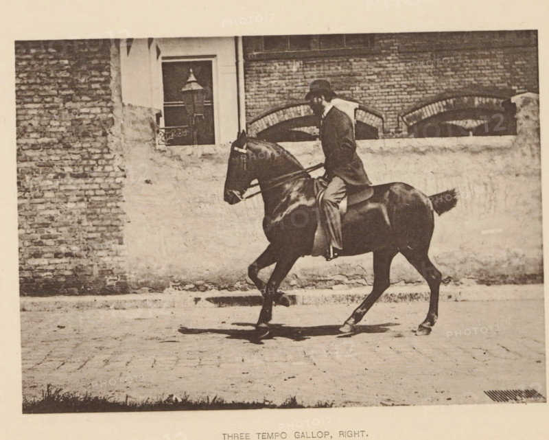 Three tempo gallop, right, Man on a horse at a gallop, page, photomechanical print, photographer: Alexander Nicol (possibly), Edinburgh (possibly), cliché maker: Römmler & Jonas, Dresden, c. 1879 - in or before 1889, paper, collotype, photoprint, height 98 mm x width 137 mm, riding a horse, ass, or mule, rider, horseman, galloping horse, head-gear: bowler hat, A sepia-toned photograph showing a person wearing a hat and a coat riding a dark horse along a paved street in front of a brick and plaster wall with a window and an old-fashioned street lamp, the rider sitting upright in a saddle while the horse moves with one front leg raised and its mane and tail visible.