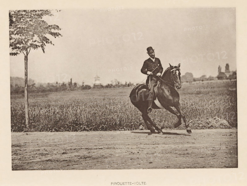 Pirouette-volte, Man on a horse in a pirouette, page, photomechanical print, cliché maker: Römmler & Jonas, Dresden, c. 1879 - in or before 1889, photographer, paper, collotype, photoprint, height 97 mm x width 138 mm, horse, riding a horse, ass, or mule, rider, horseman, head-gear: bowler hat, A sepia-toned photograph of a man riding a dark horse in a field, the rider wearing a suit and a bowler hat and holding reins and a riding crop, the horse shown mid-stride with a visible bridle and saddle, a tall slender tree at the left edge with foliage at its top, a background of low vegetation and distant structures, and a dirt foreground stretching across the bottom of the image.