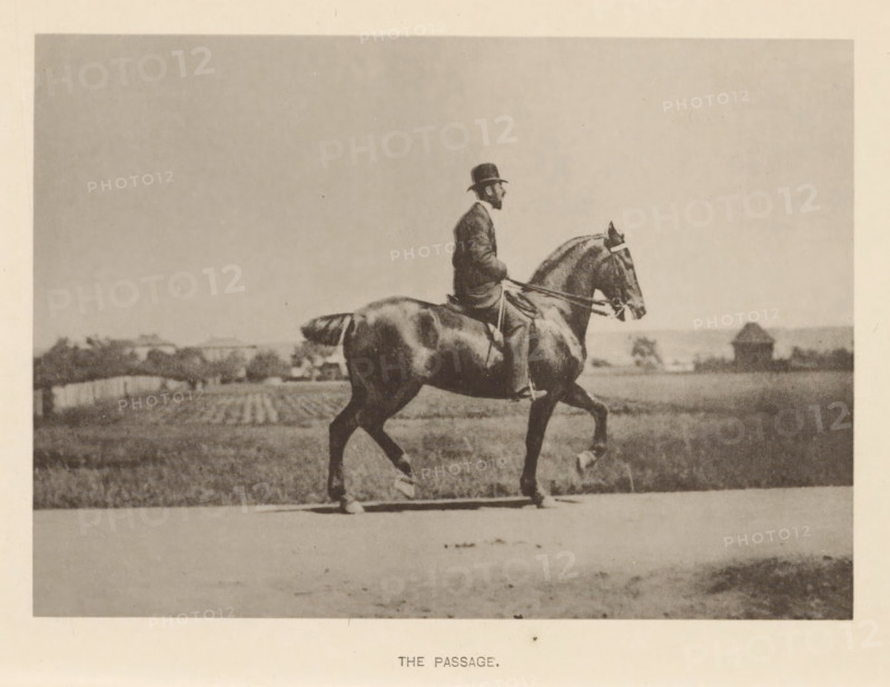 Man on a horse in passage, The passage, page, photomechanical print, cliché maker: Römmler & Jonas, Dresden, c. 1879 - in or before 1889, photographer, paper, collotype, photoprint, height 97 mm x width 137 mm, horse, riding a horse, ass, or mule, rider, horseman, head-gear: bowler hat, A sepia-toned photograph showing a man seated upright on a trotting horse captured in profile, the man wearing a dark suit and a brimmed hat and holding the reins, the horse shown mid-stride with visible tack and muscular detailing, a flat expanse of land and distant low buildings and trees in the background, and a light border surrounding the image.