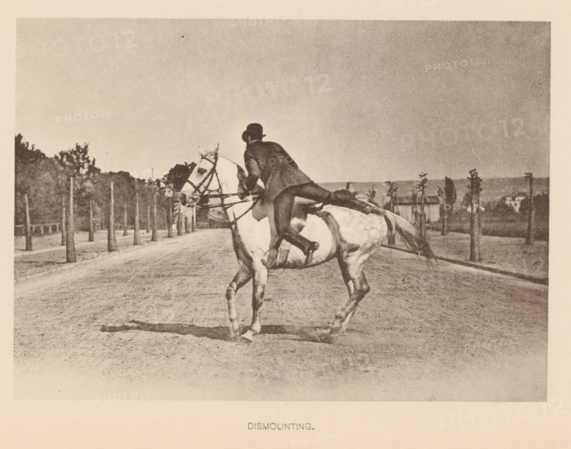 Man dismounting from a horse, Dismounting, page, photomechanical print, cliché maker: Römmler & Jonas, Dresden, c. 1879 - in or before 1889, photographer, paper, collotype, photoprint, height 97 mm x width 136 mm, horse, riding a horse, ass, or mule, rider, horseman, head-gear: bowler hat, A sepia-toned photograph shows a person wearing a dark jacket and a rounded hat leaning off the side of a light-colored horse while holding the reins, the horse is captured mid-step on a dirt road lined with evenly spaced young trees and a low fence, with distant low buildings and clusters of taller trees on the horizon under a wide, empty sky.