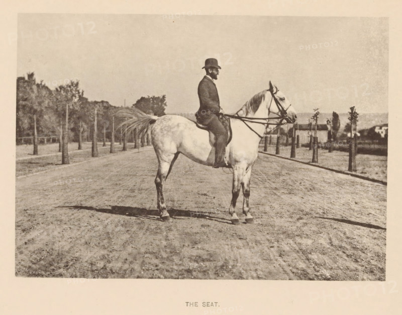 Man on a horse, The seat, page, photomechanical print, cliché maker: Römmler & Jonas, Dresden, c. 1879 - in or before 1889, photographer, paper, collotype, photoprint, height 97 mm x width 136 mm, horse, riding a horse, ass, or mule, rider, horseman, head-gear: bowler hat, A sepia-toned photograph of a person seated on a light-colored horse on a dirt road, the rider wearing a dark suit and a bowler-style hat and holding reins, the horse shown in profile facing to the right with a long tail and visible tack, a row of small trees lining the roadside behind them with a fence and larger trees farther back, a low building and distant structures visible near the horizon, and the foreground showing textured, rutted ground with the horse casting a shadow.