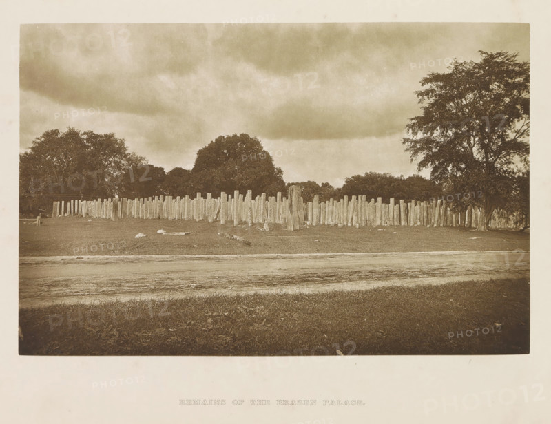Entrance to the Bodhi tree enclosure, Anuradhapura, Sri Lanka, page, photomechanical print, title: 'ENTRANCE TO THE BO-TREE ENCLOSURE.', photographer: Henry William Cave, cliché maker: anonymous, 1896, South Asia, paper, Woodburygravure, height 97 mm x width 146 mm, Print for page 45., sculpture, places and objects of worship, Hinduism, Buddhism, Jainism, trees: fig-tree, A sepia-toned photograph showing a grassy foreground with a dirt track or worn strip running across it, a long irregular line of upright wooden posts of varying heights behind the strip, scattered pieces of wood and stones on the ground near the posts, clusters of large leafy trees rising behind and to the sides of the posts, a cloudy sky filling the upper portion of the image, and a narrow pale border around the photograph.