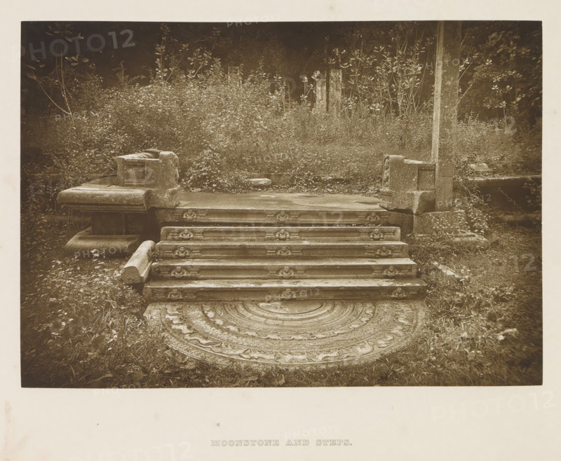 Moonstone and steps in front of the palace of King Mahasena at Anuradhapura, Sri Lanka, page, photomechanical print, title: 'MOONSTONE AND STEPS.', photographer: Henry William Cave, Anuradhapura, cliché maker: anonymous, 1896, South Asia, paper, Woodburygravure, height 128 mm x width 182 mm, Print for page 77., sculpture (relief, sculpture), flight of steps, A sepia-toned photograph showing a set of carved stone steps leading up to a rectangular platform flanked by low stone walls with block-like ends, the steps decorated with repeating carved motifs along their risers and worn surfaces, a semicircular carved stone slab with concentric ornamental bands placed at the base of the steps and partially overgrown, dense foliage and tall plants filling the background behind the platform, and scattered grass and small plants growing around the stones.