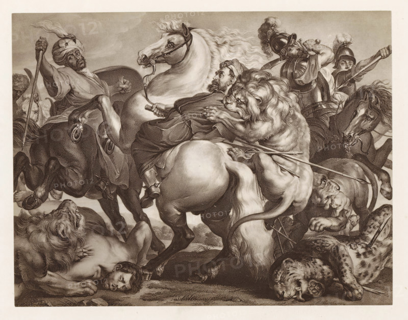 Photo reproduction of a print depicting a lion hunt, photograph, reproduction, page, after print by Jonas Suyderhoef, c. 1859 - in or before 1869, Jonas Suyderhoef, photographer, after print by, paper, albumen print, albumendruk, height 132 mm x width 172 mm, lion hunt, hunter fighting a lion, A detailed monochrome scene showing several men on horseback engaged in a violent struggle with lions; horses rear and twist, their muscles and flowing manes rendered with fine shading, while men wear varied headgear including a turban and helmets and grip spears and reins; a large lion clamps onto a rider's torso, another lion lies on the ground with a spear nearby, and a fallen man's head rests on the ground amid the commotion; the composition fills the frame with dynamic figures, animals, limbs, weapons, and drapery, all depicted in intricate line work and tonal contrasts.