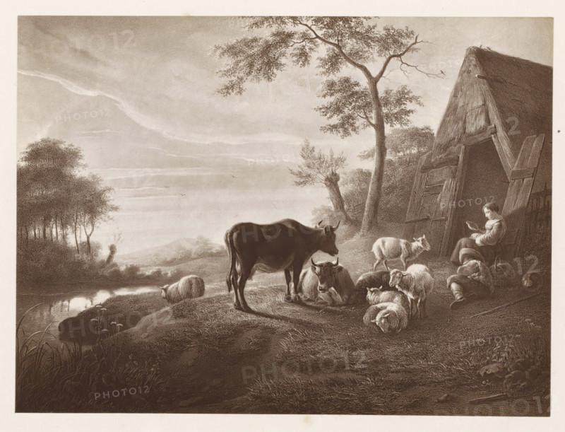 Photo reproduction of a print after a painting, depicting a herd with a shepherd in a meadow at twilight, photograph, reproduction, page, after print by anonymous, after painting by Aelbert Cuyp, c. 1859 - in or before 1869, photographer, after print by, paper, albumen print, height 129 mm x width 178 mm, meadow, pasture, sunset, cattle, A sepia-toned pastoral scene shows a gently sloping riverside with tall grasses in the foreground and a calm reflective body of water to the left, a cluster of trees along the distant bank, and layered clouds in the sky. On the near slope a standing cow faces toward a group of resting animals including a seated cow and several sheep lying and standing nearby. To the right a slanted wooden structure resembling a simple barn or shed leans with large planks and an open doorway, beside which a seated woman in a dress holds an object in her hand while a child sits on the ground nearby. A tall tree with spreading branches rises near the structure, and textur...