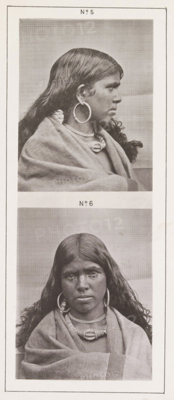 Two portraits of a Toda woman with earrings, page, photomechanical print, Above a profile photo, below a front view., number: 'No. 6', number: 'No. 5', photographer: Bourne & Shepherd, Nilgiris, photographer: Nicholas & Curths, clichémaker: anonymous, printer (person): Autotype Printing Company, London, c. 1863 - in or before 1873, printer (person), paper, collotype, photogravure, height 216 mm x width 138 mm, ear-rings, adult woman (sideview, profile), A vertical composite of two black-and-white portrait photographs of the same woman, the top image showing her in profile facing right with long dark hair, a large hoop earring, layered necklaces, and a draped blanket over her shoulders against a plain grid background, and the bottom image showing her facing forward with the same long hair parted in the middle, large hoop earrings, multiple necklaces including a prominent central ornament, and the same draped blanket, all within a bordered frame.