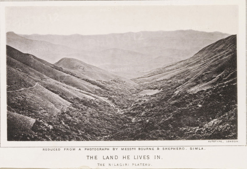 The land he lives in. The Nilagiri plateau, page, photomechanical print, number: 'No. 10', photographer: Bourne & Shepherd, Nilgiris, cliché maker: anonymous, United Kingdom, printer (person): Autotype Printing Company, London, c. 1863 - in or before 1873, printer (person), South India, Tamil Nadu, paper, collotype, photoprint, height 96 mm x width 166 mm, dale, valley, A wide grayscale photograph of a hilly landscape with layered ridges receding into the distance, showing gentle slopes and rounded hilltops; the foreground contains a densely textured valley of shrubs and small trees, with terraces or contour lines visible along the hillsides and narrow winding paths cutting across slopes; distant hills fade into lighter tones toward the horizon, and a thin border surrounds the image.