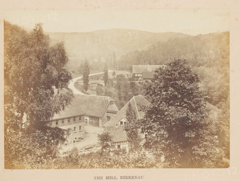 The Mill, Birkenau, View of a house on the Rhine in Birkenau, photograph, page, photographer: Francis Frith, c. 1855 - in or before 1865, Hesse, paper, albumen print, height 122 mm x width 172 mm, river, housing, A sepia-toned landscape showing a cluster of pitched-roof buildings partially obscured by large leafy trees, a winding river visible beyond the buildings with a small arched bridge crossing it, tall slender trees lining the riverbank, rolling forested hills in the background, and dense foliage filling the foreground and sides of the scene.