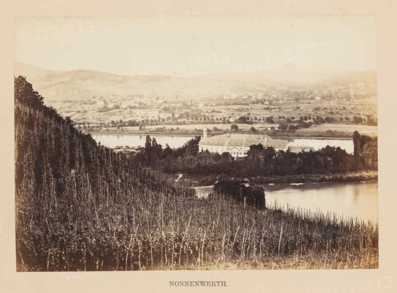 View of the island of Nonnenwerth, Nonnenwerth, photograph, page, photographer: Francis Frith, c. 1855 - in or before 1865, Rhineland-Palatinate, paper, albumen print, height 119 mm x width 169 mm, island, abbey, monastery, convent, Roman Catholic church, A sepia-toned landscape photograph showing a hillside covered with rows of bare vine stalks in the foreground sloping down toward a river, a tree-covered island or peninsula with a large pale building featuring a pitched roof and a small tower near the water, reflective river water separating the foreground from distant farmland, and rolling hills with scattered trees and fields fading into a bright sky.