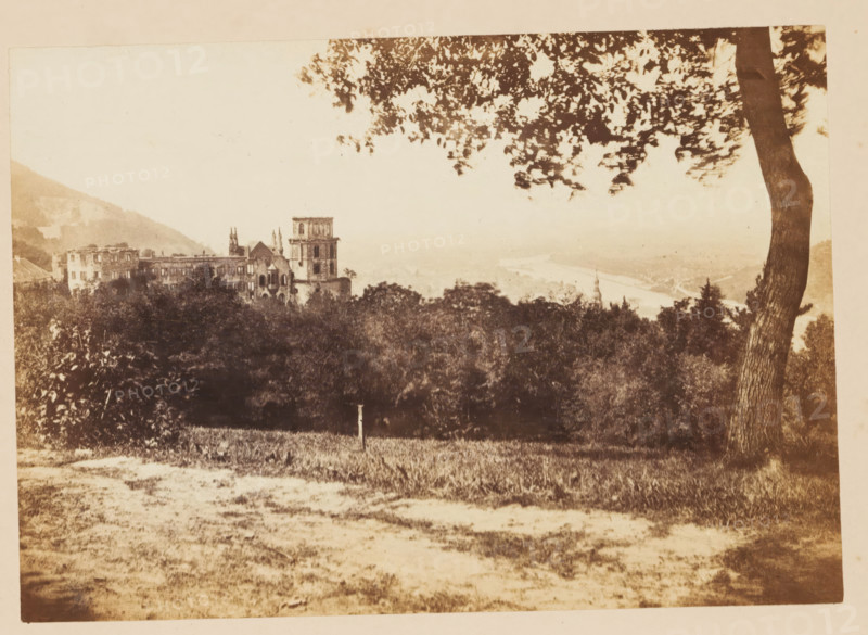 Heidelberg Castle, View of Schloss Heidelberg, photograph, page, photographer: Francis Frith, Heidelberg, c. 1855 - in or before 1865, Baden-Württemberg, paper, albumen print, height 116 mm x width 166 mm, castle, Schloss Heidelberg, A sepia-toned landscape photograph showing a grassy foreground with a small post, a dense band of trees and shrubs behind it, and an old multi-story stone building with towers and arched windows partially visible above the foliage to the left; a large tree trunk and branches frame the right side and upper part of the image, and a distant river and low hills are visible through a light haze in the background.