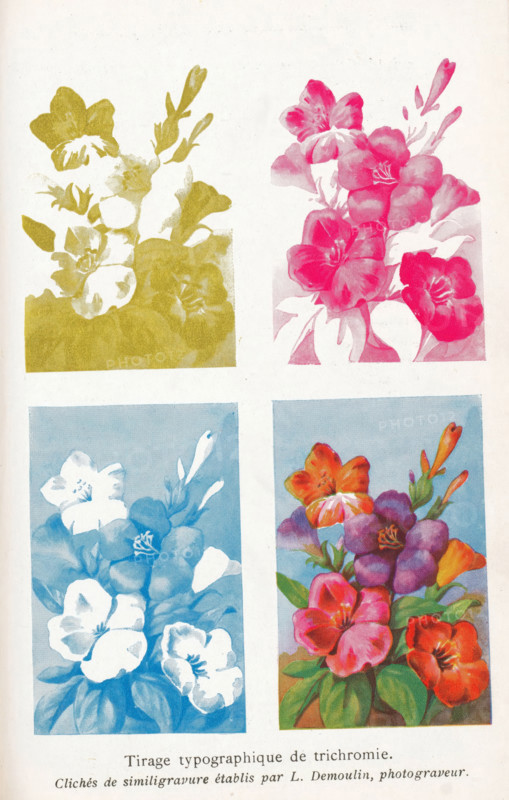 Four photoreproductions of a print of a flower arrangement in different colors, Tirage typographique de trichromie, reproduction, page, photomechanical print, maker: L. Demoulin, after print by anonymous, c. 1922 - in or before 1932, after print by, paper, autotype, height 152 mm x width 100 mm, photography, The image shows a page with four rectangular floral prints arranged in a grid, each depicting a stylized bouquet of blossoms and leaves in different single or combined colors on a pale background, with the top left print in a muted olive tone, the top right in a vivid pink, the bottom left in a cool blue, and the bottom right in a multicolored composition featuring warm reds, purples, oranges, and green leaves, and there is a line of printed text below the images.