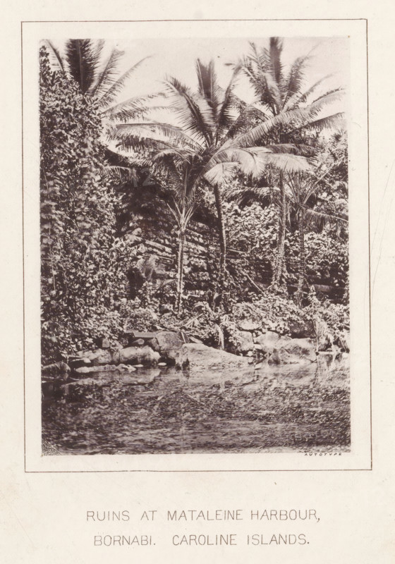 Ruin in a harbor on Bornabi, Ruins at Mataleine harbour, Bornabi. Caroline Islands, page, photomechanical print, photographer: George Smith, Micronesia, maker: Autotype Company, The, c. 1865 - in or before 1875, paper, collotype, photoprint, height 110 mm x width 81 mm, landscape with ruins, trees: palm-tree, A rectangular sepia photograph bordered by a pale mat shows dense tropical vegetation with tall slender trunks and large fan-like fronds rising above a tangle of leafy undergrowth, a rocky shoreline with scattered boulders at the base, and a textured water surface in the foreground.