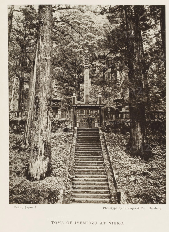 Tomb of Iyemidzu at Nikko, page, photomechanical print, Nikko, printmaker: Strumper & Co, Hamburg (city), publisher: Hodder & Stoughton, London, c. 1874 - in or before 1884, photographer, Kanto, paper, collotype, photoprint, height 149 mm x width 119 mm, staircase, temple, shrine, Shinto, Taiyuinbyo, A stone stairway rises through a wooded slope flanked by tall tree trunks and dense foliage, leading to a gated enclosure with a central carved pillar and ornamental lanterns, with a solitary figure standing at the gate and layered tree branches and leaves filling the background.
