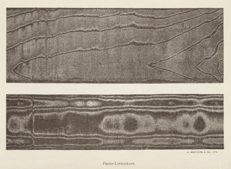 Two transfers from a screen printing frame, page, photomechanical print, inscription: 'photo-lithograph', printmaker: A. Brothers & Co., c. 1889 - in or before 1899, photographer, paper, photolithography, height 150 mm x width 225 mm, Prints opposite page 156., printing, applied arts, silk (material, textile industry), A large rectangular sheet with two horizontal woodgrain panels separated by a blank strip, the top panel showing elongated, wavy grain lines and textured vertical striations, the lower panel displaying a different woodgrain pattern with rounded knot-like shapes and horizontal striations, all rendered in a monochrome, stippled lithographic style on an off-white background.
