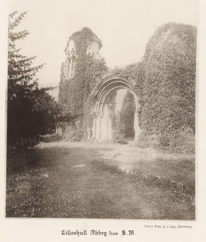 Lilleshull Abbey from SW, View of the ruins of Lilleshall Abbey, page, photomechanical print, photographer: J. Laing, Shropshire, cliché maker: anonymous, c. 1867 - in or before 1877, paper, collotype, photoprint, height 175 mm x width 143 mm, ruin of church, monastery, Lilleshall Abbey, A faded photograph of an old stone archway and ruins partially covered in dense ivy, with layered rounded arches and tall vertical openings visible behind the vegetation, framed by large leafy trees on the left and more ivy-covered masonry on the right, a grassy foreground leading up to the arch with scattered small flowers and a narrow path, all shown in a monochrome, grainy tone.