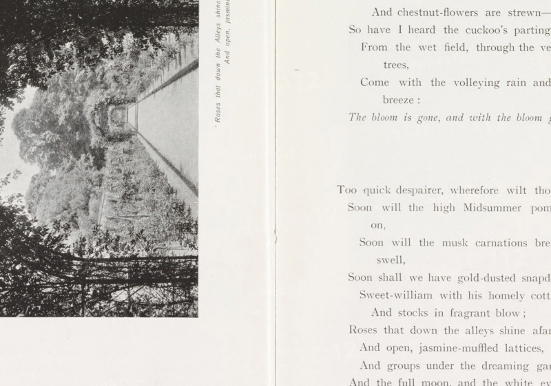 Path (presumably) in a rose garden, page, photomechanical print, inscription: ''Rose that down the Alleys shine afar, And open, jasmine-muffled lattices.'', maker: Henry W. Taunt, United Kingdom, c. 1907 - in or before 1912, paper, autotype, height 78 mm x width 131 mm, garden, public road, A grayscale image of an open book showing a left-hand page with a vertical photographic illustration of a tree-lined path framed by foliage and trellised vines, and a right-hand page with printed lines of text; the pages meet at a visible gutter crease and the right page has faint blemishes and a slightly uneven edge.