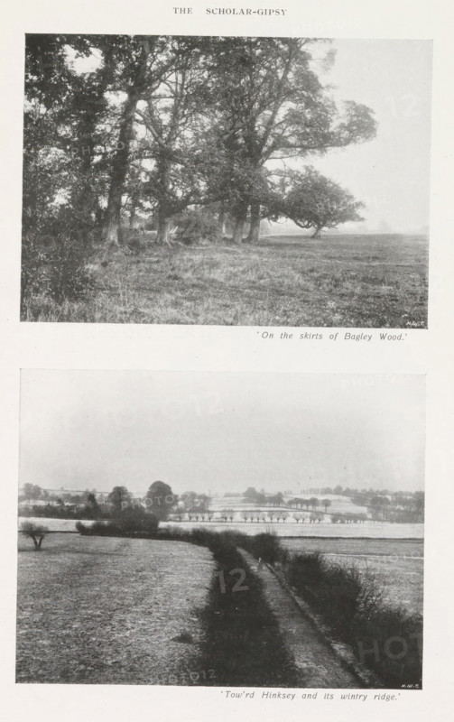 Foothills of Bagley Wood in Oxfordshire and a view of South Hinksey, page, photomechanical print, inscription: ''On the skirts, wintry ridge.'', maker: Henry W. Taunt, United Kingdom, c. 1907 - in or before 1912, paper, autotype, height 223 mm x width 143 mm, Prints on page 19., forest, wood, low hill country, Oxfordshire, South Hinksey, A vertical sheet shows two black-and-white landscape photographs stacked one above the other, each framed by white margins. The top photograph depicts a stand of large trees with dense canopies at the edge of an open grassy area, tree trunks and undergrowth visible in the shaded foreground and an open plain extending to the right beneath a pale sky. The bottom photograph shows a rural scene with a narrow dirt track flanked by hedgerows running away from the viewer through fields, distant clusters of trees and gentle rolling land visible under a bright, featureless sky.