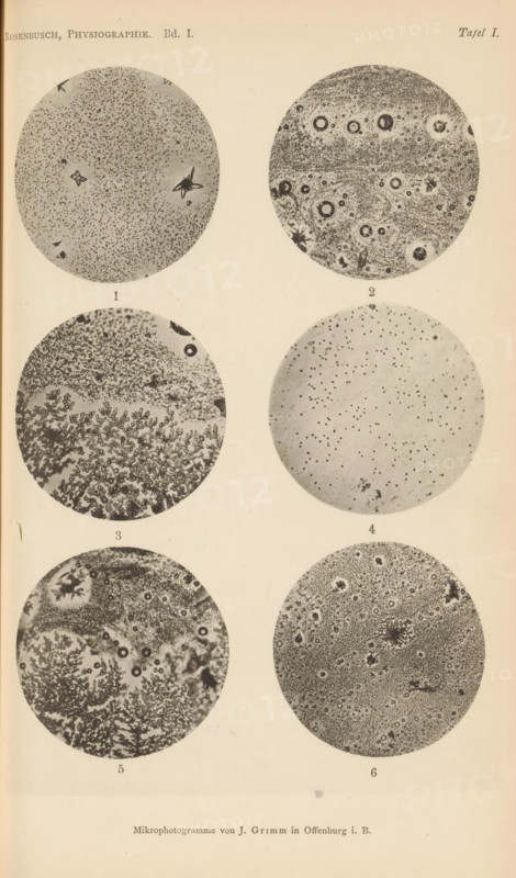 Six microscopic enlargements of minerals, page, photomechanical print, Image 1, 2 and 3 is sulphur, 4 is globulite, 5 is sulfur pulmonite and 6 is globulite., number: '1, 6', number: 'Tafel I', photographer: Emil Cohen, Greifswald, cliché maker: J. Grimm, Offenburg, c. 1880 - in or before 1885, Baden-Württemberg, Mecklenburg-Vorpommern, paper, collotype, photoprint, height 233 mm x width 149 mm, minerals and metals, A vertical sheet shows six circular grayscale photomicrograph images arranged in two columns and three rows, each circle containing varied textures and patterns of dots, speckles, rings, and branching structures; the top left circle has a fine granular field with a few irregular darker shapes, the top right circle features concentric ring-like spots among a textured background, the middle left circle displays dense clustered branching formations beneath a more granular upper area, the middle right circle shows a sparser field of small dots on a lighter background, the botto...