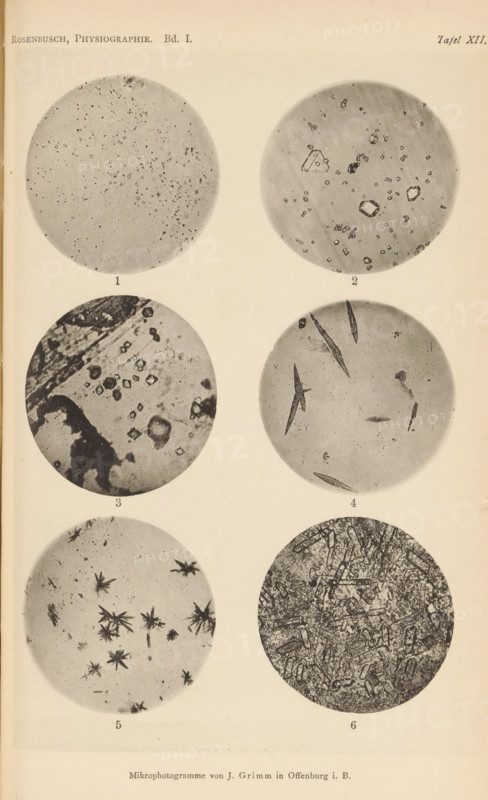 Six microscopic enlargements of minerals, page, photomechanical print, Image 1 is apophyllite, 2 is orthoclase, 3 is zinnwaldite, 4, 5 and 6 is fluorosodium crystal., number: 'Tafel XII', number: '1, 6', photographer: Emil Cohen, Greifswald, cliché maker: J. Grimm, Offenburg, c. 1880 - in or before 1885, Baden-Württemberg, Mecklenburg-Vorpommern, paper, collotype, photoprint, height 233 mm x width 149 mm, minerals and metals, A vertical page showing six circular grayscale microscope images arranged in two columns and three rows on a light background, each circle containing different granular or crystalline textures and shapes; the top of the page has small printed words at left and right, there are small printed numerals below each circular image, and a line of small printed text centered at the bottom of the page.