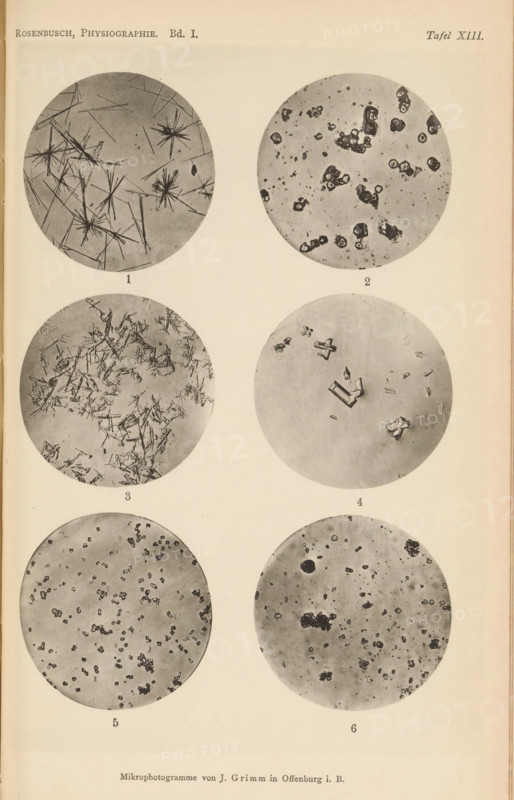 Six microscopic enlargements of minerals, page, photomechanical print, Image 1 is gypsum crystal, 2 is cesium crystal, 3 is magnesium phosphate crystal, 4 is magnesium phosphate crystal, 5 is ammonia crystal and 6 is zirconium crystal., number: 'Tafel XIII', number: '1, 6', photographer: Emil Cohen, Greifswald, cliché maker: J. Grimm, Offenburg, c. 1880 - in or before 1885, Baden-Württemberg, Mecklenburg-Vorpommern, paper, collotype, photoprint, height 233 mm x width 149 mm, minerals and metals, A vertical page with six circular grayscale microscopic images arranged in two columns and three rows, each circle showing different particle or crystal patterns; the top left circle contains needlelike radial clusters and straight elongated rods, the top right shows scattered irregular rounded clusters and small specks, the middle left has dense angular shardlike fragments clustered throughout, the middle right displays larger geometric crystal shapes with some rectangular and crosslike pieces...