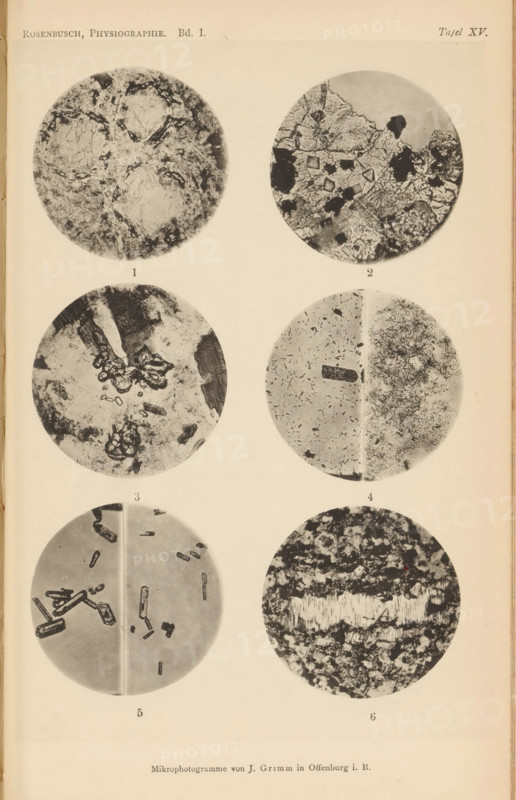 Six microscopic enlargements of minerals, page, photomechanical print, Image 1 is leucite, 2 is perovskite, 3 is titanite, 4 is rutile, 5 is a zirconium crystal and 6 is melitite., number: 'Table XV', number: '1, 6', photographer: Emil Cohen, Greifswald, clichémaker: J. Grimm, Offenburg, c. 1880 - in or before 1885, Baden-Württemberg, Mecklenburg-Western Pomerania, paper, collotype, photoprint, height 233 mm x width 149 mm, minerals and metals, A vertical page showing six circular black-and-white microscopic images arranged in three rows, two columns, each circular image containing different textured patterns and granular or crystalline structures; the top left circle shows irregular mottled light and dark areas with crack-like lines, the top right circle displays angular fragments and darker blotches, the middle left circle features organic-looking clumps and scattered darker shapes, the middle right circle is divided visually with one side containing many tiny rodlike specks and a da...