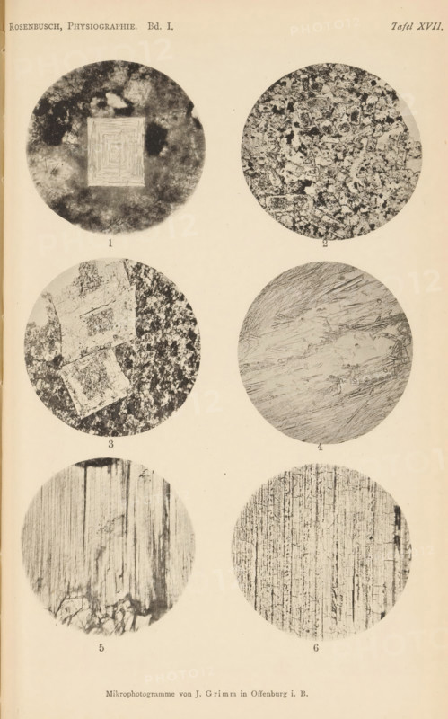 Six microscopic enlargements of minerals, page, photomechanical print, Image 1 is nepheline, 2 is andalusite, 3 is chiastolite, 4 is sillimanite, 5 is bronzite and 6 is enstatite., number: 'Tafel XVII', number: '1, 6', photographer: Emil Cohen, Greifswald, cliché maker: J. Grimm, Offenburg, c. 1880 - in or before 1885, Baden-Württemberg, Mecklenburg-Vorpommern, paper, collotype, photoprint, height 233 mm x width 149 mm, minerals and metals, A vertically oriented page showing six circular grayscale photomicrographs arranged in two columns and three rows on a pale background, each circle containing distinct textured patterns; the top left circle shows a dark mottled field with a lighter square concentric pattern near its center, the top right circle displays a dense granular and fragmented texture with irregular light and dark patches, the middle left circle contains two lighter square shapes set against a speckled darker background, the middle right circle features sweeping linear stria...