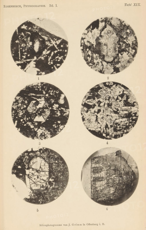 Six microscopic enlargements of minerals, page, photomechanical print, Image 1 is olivine, 2 is olivine, 3 is cordierite, 4 is zoisite, 5 is augite and 6 is augite., number: '1, 6', number: 'Tafel XIX', photographer: Emil Cohen, Greifswald, cliché maker: J. Grimm, Offenburg, c. 1880 - in or before 1885, Baden-Württemberg, Mecklenburg-Vorpommern, paper, collotype, photoprint, height 233 mm x width 149 mm, minerals and metals, A vertical page showing six circular black-and-white photographic images arranged in three rows and two columns on a light background, each circular image containing varied granular and textured patterns resembling close-up or microscopic surfaces; the top left circle shows a dark irregular oval area with lighter branching lines, the top right circle displays a mottled textured area with a central lighter irregular form, the middle left circle contains scattered light fragments against a darker background, the middle right circle has a dense cluster of angular ligh...