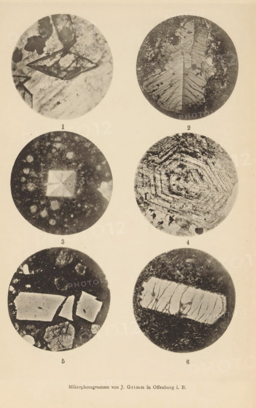 Six microscopic enlargements of minerals, page, photomechanical print, Image 1 is titanite, 2 is sanidine, 3 is sanidine, 4 is orthoclase, 5 is phonolite and 6 is phonolite., number: '1, 6', number: 'Tafel XXIII', photographer: Emil Cohen, Greifswald, cliché maker: J. Grimm, Offenburg, c. 1880 - in or before 1885, Baden-Württemberg, Mecklenburg-Vorpommern, paper, collotype, photoprint, height 233 mm x width 149 mm, minerals and metals, A vertically oriented page shows six circular grayscale microscope images arranged in three rows and two columns, each circle containing varied textures and patterns; the top left circle displays angular crystalline shapes and cloudy mottling, while the top right circle shows a layered, featherlike structure with speckled areas along its edge. The middle left circle features a central square-like bright area surrounded by a grainy field with scattered rounded spots, and the middle right circle contains concentric hexagonal banding with irregular dark pat...