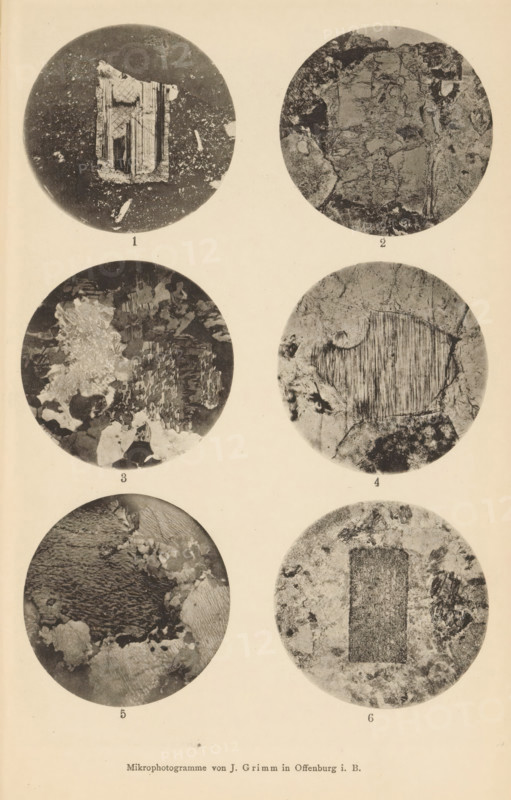 Six microscopic magnifications of minerals, page, photomechanical print, Image 1 is sanidine and plagioclase, 2 is sanidine and phonolite, 3 is orthoclase and plagioclase, 4 is orthoclase, 5 is orthoclase and 6 is orthoclase., number: '1, 6', number: 'Tafel XXIV', photographer: Emil Cohen, Greifswald, cliché maker: J. Grimm, Offenburg, c. 1880 - in or before 1885, Baden-Württemberg, Mecklenburg-Vorpommern, paper, collotype, photoprint, height 233 mm x width 149 mm, minerals and metals, A vertical page showing six circular grayscale close-up images arranged in two columns and three rows on a pale background, each circle containing varied textured patterns and irregular shapes with grainy, speckled, and striated areas, the top-left circle featuring a central rectangular fragment with parallel lines and mottled surrounding specks, the top-right circle showing a roughly rectangular lighter area with surrounding darker, cracked textures, the middle-left circle displaying an irregular cluste...