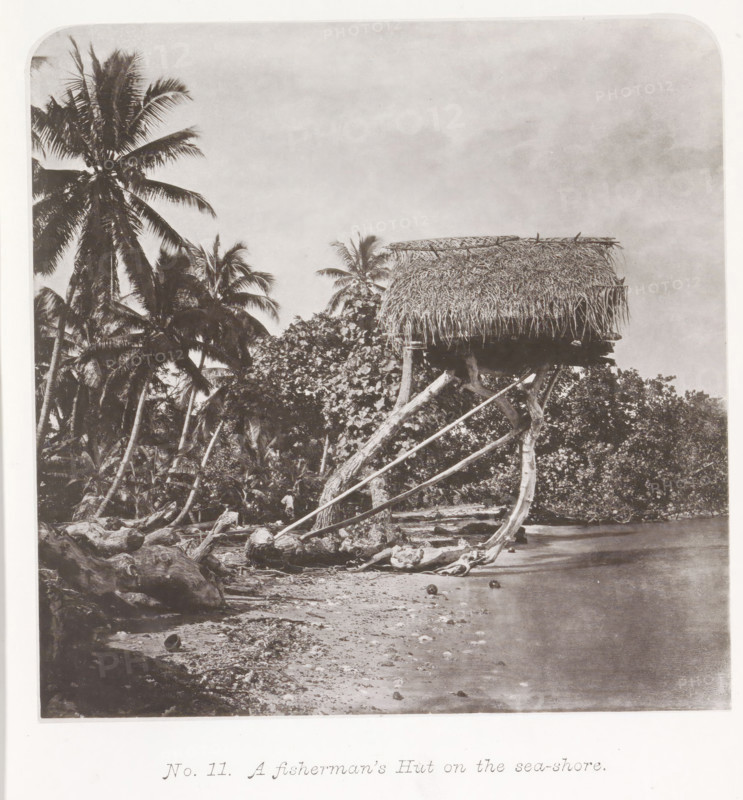 A fisherman's home in Tahiti, partly built above the Pacific Ocean, A fisherman's Hut on the sea-shore, page, photomechanical print, number: 'No. 11.', photographer: Henry Stuart-Wortley, Tahiti, cliché maker: Meisenbach's Autotype Company, printer (person): Meisenbach's Autotype Company, 1880, Meisenbach's Autotype Company, photographer, French Polynesia, paper, collotype, photoprint, height 139 mm x width 138 mm, hut, cabin, lodge, ocean, A shoreline scene with palm trees clustered along the edge, some trunks leaning toward the water, and a raised thatched hut perched on stilts above the beach; the hut has a dense roof of woven palm fronds and supports of angled logs, with driftwood and scattered debris along the sandy shore and calm water lapping at the edge.