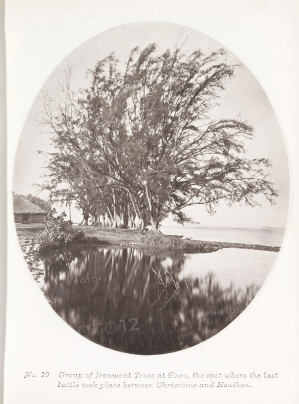 Group of Ironwood Trees at Paea, the spot where the last battle took place between Christians and Heathen, View of a row of trees in Paea on Tahiti, page, photomechanical print, number: 'No. 10.', photographer: Henry Stuart-Wortley, Tahiti, cliché maker: Meisenbach's Autotype Company, printer (person): Meisenbach's Autotype Company, 1880, Meisenbach's Autotype Company, photographer, French Polynesia, paper, collotype, photoprint, height 168 mm x width 140 mm, trees, A large cluster of tall, slender trees with many thin branches stands near a shoreline, their trunks and lower branches grouped closely together and their upper branches spreading outward; a body of calm water in front of the trees reflects dark, blurred shapes of the branches and a small area of grassy land at the water’s edge; a thatched-roof structure is visible to the left behind some vegetation; a narrow strip of shoreline or sand runs to the right into the distance where the water meets the horizon.