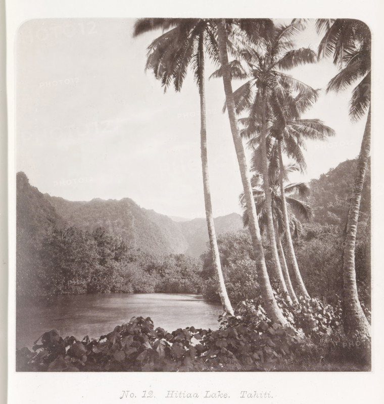 View of a lake in Tahiti, Hitiaa Lake. Tahiti, page, photomechanical print, number: 'No. 12.', photographer: Henry Stuart-Wortley, Tahiti, cliché maker: Meisenbach's Autotype Company, printer (person): Meisenbach's Autotype Company, 1880, Meisenbach's Autotype Company, photographer, French Polynesia, paper, collotype, photoprint, height 139 mm x width 140 mm, lake, trees: palm-tree, A sepia-toned photograph showing a calm body of water bordered by dense foliage and tall, slender palm trees leaning toward the water, with clustered leafy plants in the foreground, a range of forested hills rising in the background, and a pale sky above.