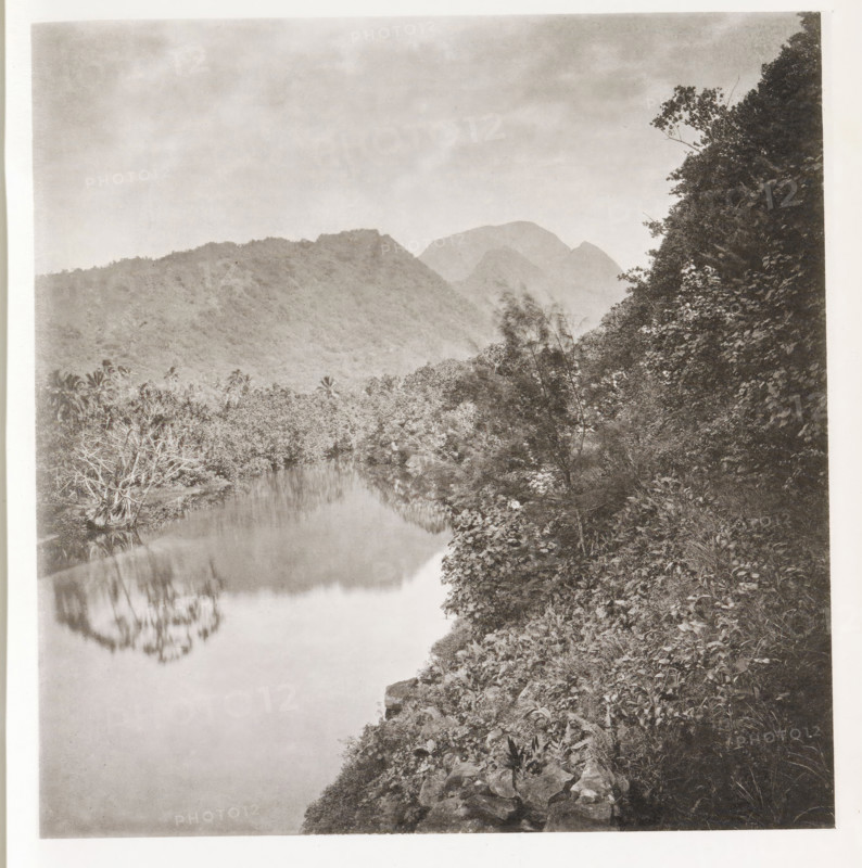 View of a valley near Papeari in Tahiti, Papeuriri Valley. Tahiti, page, photomechanical print, number: 'No. 13.', photographer: Henry Stuart-Wortley, Papeari, cliché maker: Meisenbach's Autotype Company, printer (person): Meisenbach's Autotype Company, 1880, Meisenbach's Autotype Company, photographer, French Polynesia, Tahiti, paper, collotype, photoprint, height 143 mm x width 139 mm, trees: palm-tree, dale, valley, A monochrome landscape showing a calm river reflecting the silhouette of nearby trees, with a steep, rocky riverbank covered in dense vegetation on the right side and a stand of trees and palms along the opposite shore, distant layered mountain ridges fading into the background, and a wide sky occupying the upper portion of the image.