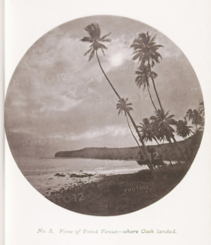 View of a beach, Point Venus, with palm trees on Tahiti, View of Point Venus - where Cook landed, page, photomechanical print, number: 'No. 2.', photographer: Henry Stuart-Wortley, Tahiti, cliché maker: Meisenbach's Autotype Company, printer (person): Meisenbach's Autotype Company, 1880, Meisenbach's Autotype Company, photographer, French Polynesia, paper, collotype, photoprint, height 145 mm x width 145 mm, beach, trees: palm-tree, A circular sepia-toned photograph showing a coastal scene with tall, slender palm trees leaning toward the center, their fronds silhouetted against a cloudy sky. Along the horizon a low headland or cliff projects into the water, and below it a calm shoreline with scattered rocks meets the sea. The foreground shows a darker strip of beach and vegetation, and the overall image has a soft, vintage tonal quality.