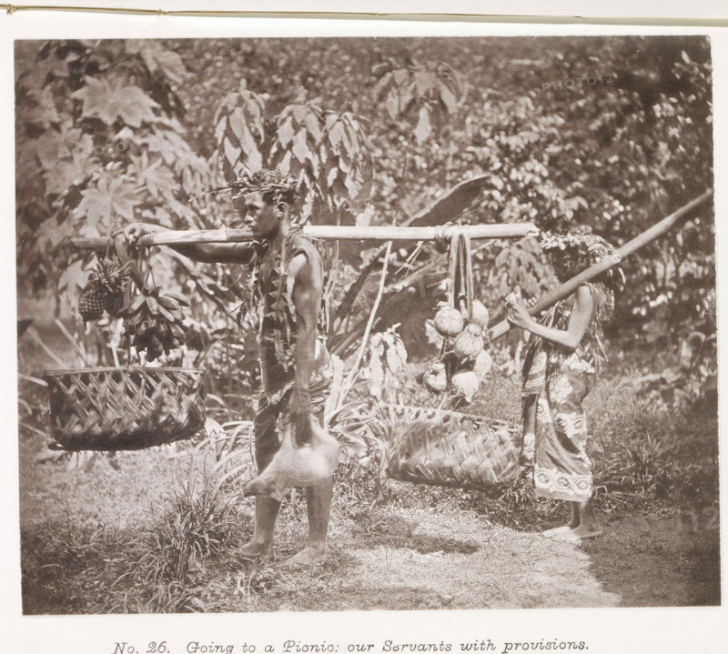 Going to a Picnic: our Servants with provisions, Man and woman with food for a picnic in Tahiti, page, photomechanical print, number: 'No. 26.', photographer: Henry Stuart-Wortley, Tahiti, cliché maker: Meisenbach's Autotype Company, printer (person): Meisenbach's Autotype Company, 1880, Meisenbach's Autotype Company, photographer, French Polynesia, paper, collotype, photoprint, height 137 mm x width 168 mm, picnic, alfresco, 'déjeuner sur l'herbe', A sepia photograph showing two people standing outdoors among dense foliage, each carrying a long horizontal pole across their shoulders from which woven baskets and clusters of fruit hang, one person facing sideways with a decorative headpiece and patterned cloth around the waist while holding a carcass, the other person holding the end of a pole and wearing a patterned garment and a head covering made of plant material, tall leafy plants fill the background and grass covers the ground beneath their bare feet.