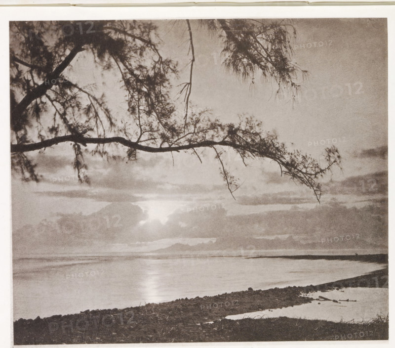 Eimeo from Tahiti, View of Moorea from Tahiti, page, photomechanical print, number: 'No. 27.', photographer: Henry Stuart-Wortley, Tahiti, cliché maker: Meisenbach's Autotype Company, printer (person): Meisenbach's Autotype Company, 1880, Meisenbach's Autotype Company, photographer, French Polynesia, paper, collotype, photoprint, height 140 mm x width 162 mm, island, ocean, A monochrome scene showing a shoreline with calm water reflecting light, a low rocky or pebbled beach in the foreground, and a distant horizon of clouds and land; overhanging tree branches with sparse needle-like foliage extend from the top and left edges into the frame, some thin twigs hanging down, and a bright area near the horizon where light breaks through the cloud layer.