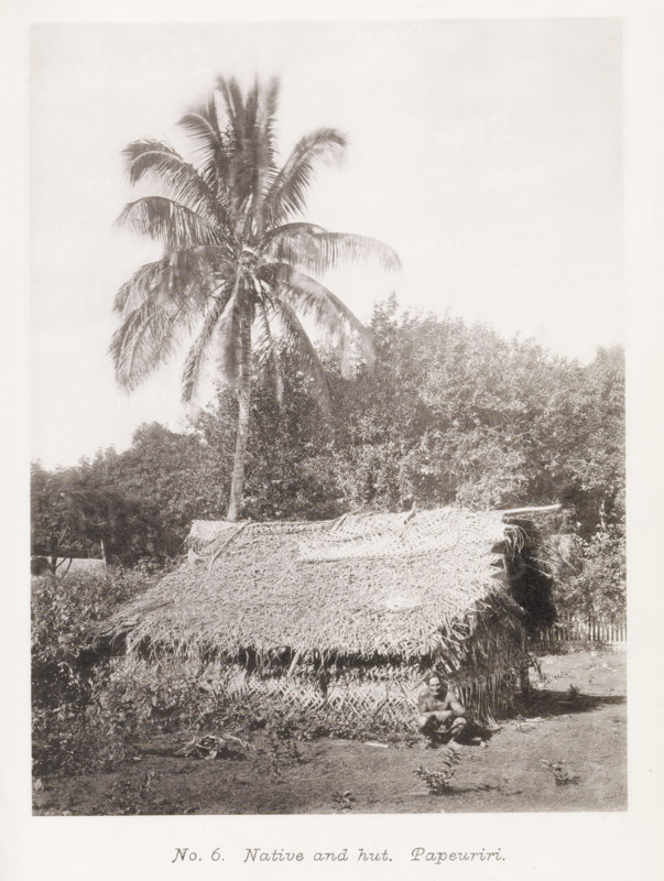 Man from Tahiti in front of his home in Papeari, Native and hut. Paeuriri, page, photomechanical print, number: 'No. 6.', photographer: Henry Stuart-Wortley, Papeari, cliché maker: Meisenbach's Autotype Company, printer (person): Meisenbach's Autotype Company, 1880, Meisenbach's Autotype Company, photographer, French Polynesia, Tahiti, paper, collotype, photoprint, height 169 mm x width 126 mm, trees: palm-tree, hut, cabin, lodge, A tall palm tree rises above dense foliage, its fronds spreading outward, behind a small structure with a thatched roof made of layered dried leaves and woven walls; a person sits on the ground in front of the hut with knees drawn up, and vegetation and bare ground surround the scene.