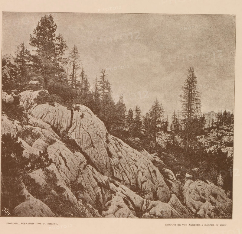 Slope in Austria, Rundhöcker am Eingange der Wiesalpe, page, photomechanical print, number: 'V.', photographer: Friedrich Simony, Salzburg (city), cliché maker: Angerer & Göschl, C., Vienna, publisher: Eduard Hölzel, 1888, Lower Austria, paper, autotypie, height 175 mm x width 195 mm, low hill country, A sepia-toned image showing a rocky mountainside with large textured rock formations in the foreground and middle ground, scattered low shrubs and vegetation among the rocks, a group of tall slender conifer trees rising along the ridge on the left and center, a single taller conifer on the right edge, a grainy sky occupying the upper portion, and a narrow light border around the picture.