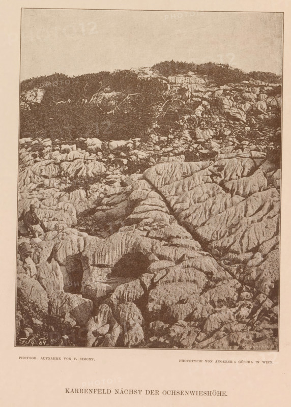 Karrenfeld nächst der Ochsenwieshöhe, Lapiaz at the Ochsenwieshöhe, page, photomechanical print, number: 'VII.', photographer: Friedrich Simony, Salzburg (city), cliché maker: Angerer & Göschl, C., Vienna, publisher: Eduard Hölzel, 1876, Lower Austria, paper, autotypie, height 200 mm x width 154 mm, rock-formations, A monochrome photograph of a rocky landscape showing weathered, striated rock surfaces forming ridges and crevices across the frame, with darker vegetation and low bushes concentrated toward the upper portion above the rocks, and a lone seated figure in dark clothing positioned on a rock ledge near the left edge of the rock field.
