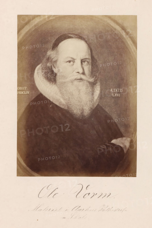 Photo reproduction of a painting depicting a portrait of Olaus Wormius, Ole Vorm, photograph, reproduction, page, inscription: 'Maleriet i Aarhus Kathedral Skole.', photographer: Julius Wulff, after painting by Karel van Mander (I), c. 1858 - in or before 1862, paper, albumen print, height 165 mm x width 124 mm, Person, Olaus Wormius, physician, doctor, A sepia-toned portrait of a bearded man shown from the chest up inside an oval frame, wearing a dark garment and a large white ruffled collar, with wavy hair at his temples and a full mustache and beard; the background is a textured dark oval area surrounded by a lighter border, and the lower part of the image shows a pale margin with cursive handwriting that is visible but not described.