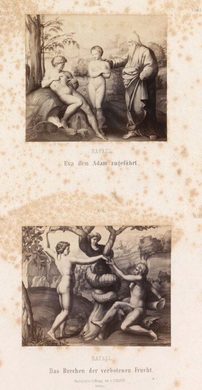 Photo reproductions of prints after frescoes depicting Adam and Eve by Raphael for the loggias in the Vatican, Rafael Eva dem Adam Zugeführt. Das Brechen der verbotenen Frucht, photograph, reproduction, page, number: 'No 5. No 6. Bild 1. Bild 2. II. Loge.', photographer: Gustav Schauer, Berlin, after print by anonymous, after painting by Rafaël, c. 1851 - in or before 1861, after print by, paper, albumen print, height 254 mm x width 190 mm, Temptation and Fall (scenes with both Adam and Eve), Eve offers the fruit to Adam, A vertically oriented sheet shows two framed grayscale classical-style scenes stacked with wide margins. In the top scene three figures stand outdoors beside a tree and rocks: a seated naked male leaning against a rock with a small rabbit at his feet, a standing naked female with arms crossed over her chest, and an older bearded robed man resting a hand on the woman’s shoulder while gazing at the seated man; distant hills and trees form the background. The lower scene...